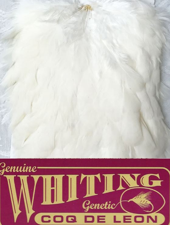 WHITING Coq De Leon Hen Saddle