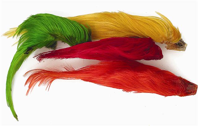 Yarn Golden Pheasant Feather Crest". Flies Thread Craft. Floss Feathers 