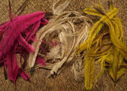 NATURE Emu feathers