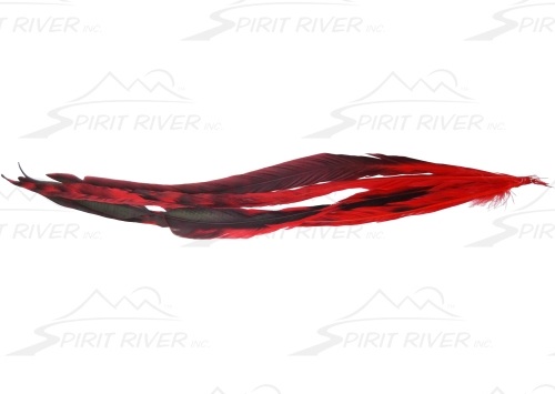 Spirit River Big Coque