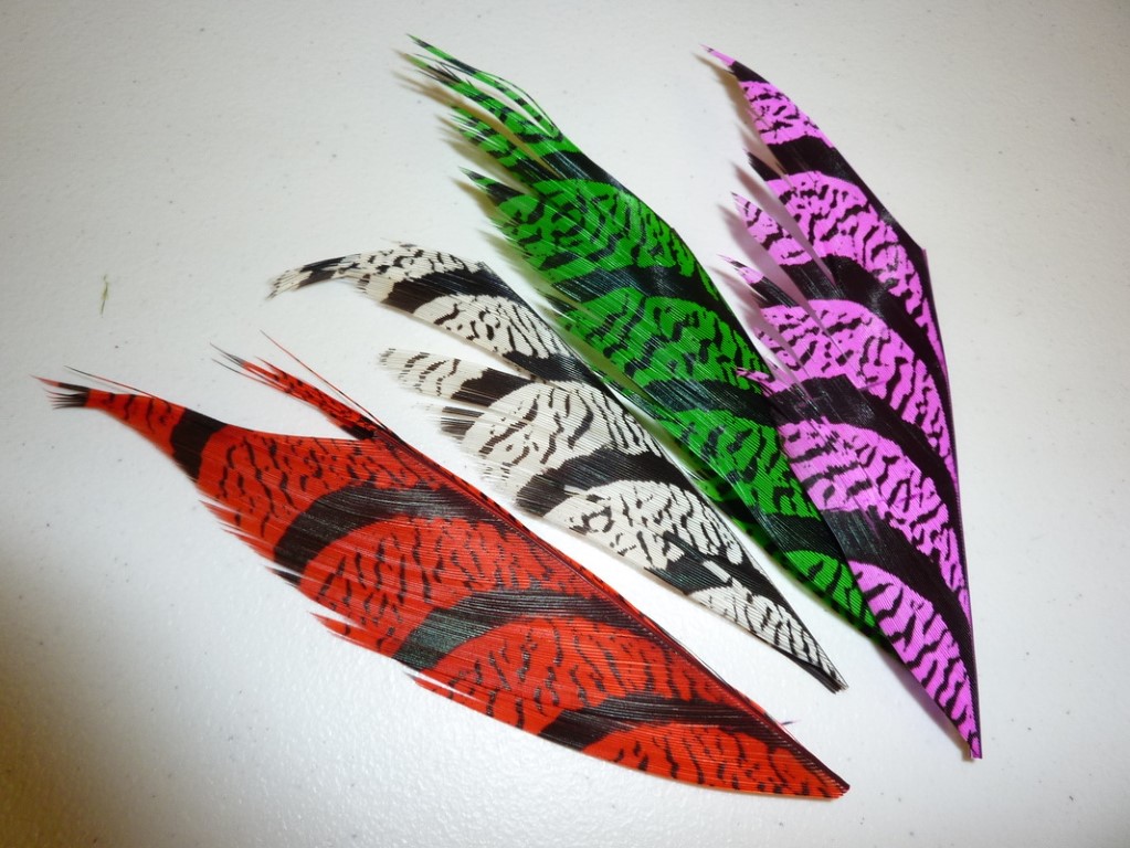 Lady Amherst Tail Feathers PIECES