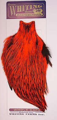 WHITING AMERICAN ROOSTER CAPE BLack laced