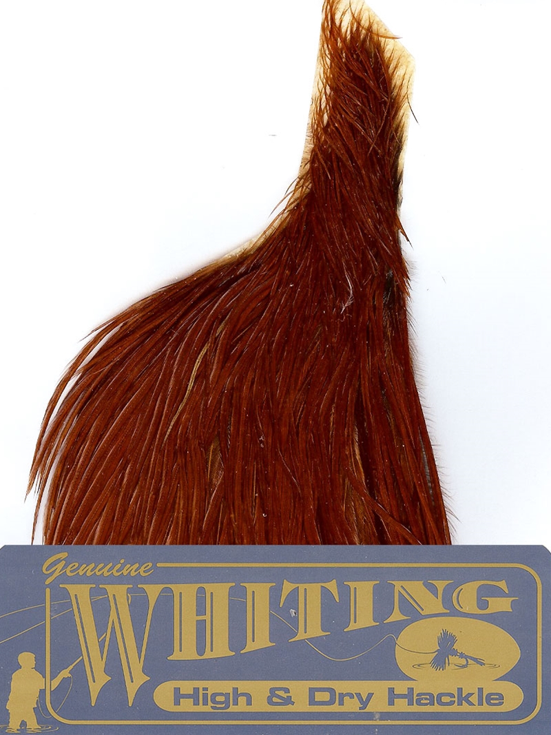 WHITING HIGH AND DRY 1/2 SADDLE