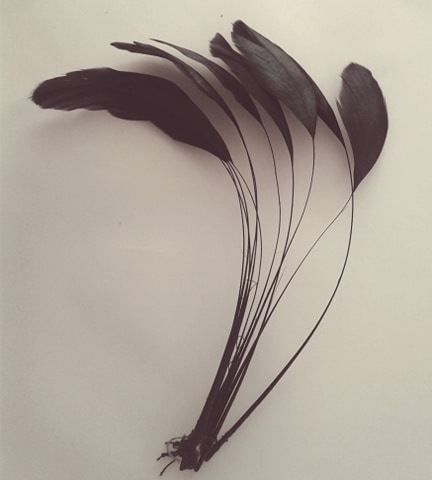 WHALESBACK STRIPPED ROOSTER FEATHERS