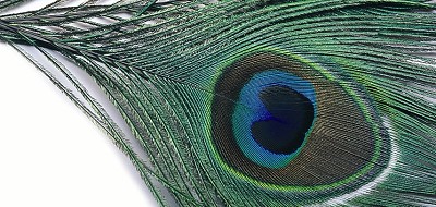 VENIARD Peacock Eye Tops