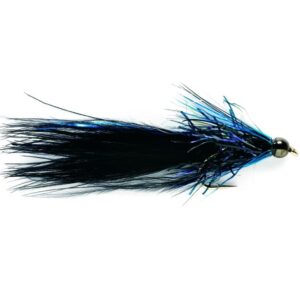 STRAGGLE BLACK AND BLUE