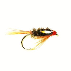 Hot Head Diawl Bach  Hot Head Diawl Bach