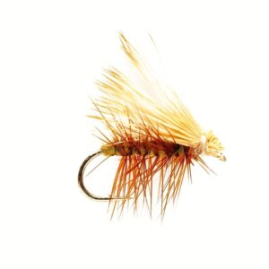 Elk Wing Olive