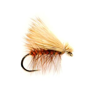 Elk wing Orange