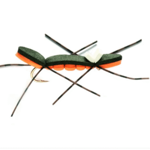Chernobyl Ant Black & Orange