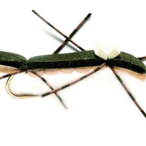 Chernobyl Ant Black & TAN