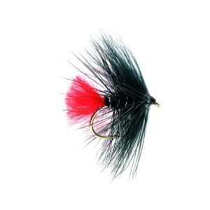 Black Zulu