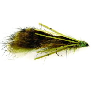 Papa Roach Dragonfly NYMPH size 10 (E9A)