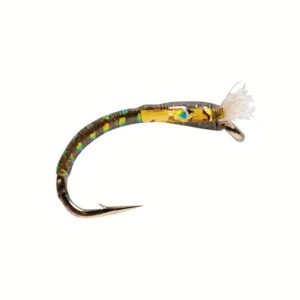 3D Dark Olive Chironomid