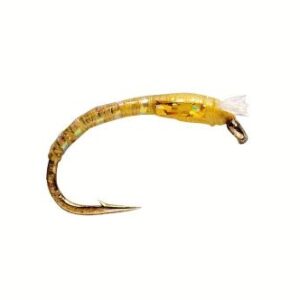 Buzzer 3D Glass Gold Olive
