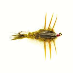 Creeping Stone Olive SIZE 10 (E9K)