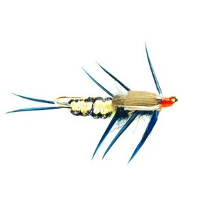 Stonefly Creeper Gold Nugget SIZE 10 (B4Q)