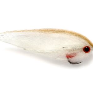 Dougie's ROACH