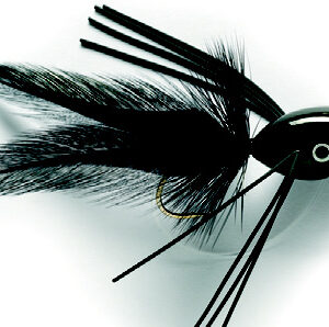Black Popper SIZE 6 (F8D)