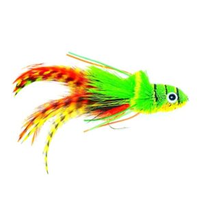 Swimming Frog Orange Belly SIZE 2 (J1K)