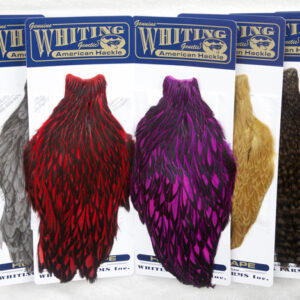 WHITING AMERICAN HEN CAPES