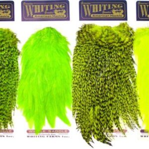 WHITING AMERICAN ROOSTER SADDLE