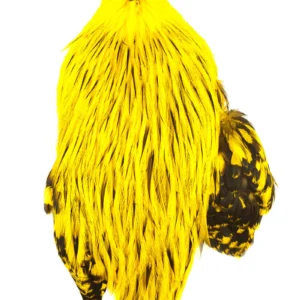 WHITING AMERICAN ROOSTER CAPE Black Laced