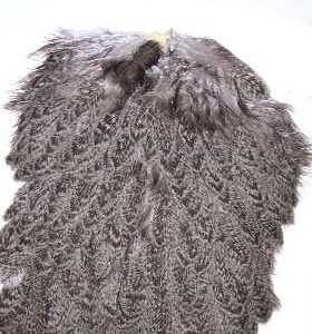 WHITING BRAHMA HEN SADDLE