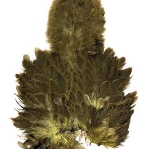 WHITING BRAHMA SOFT HACKLE CHICKABOU