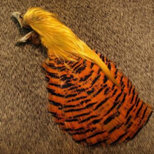 NATURE SPIRIT Golden Pheasant Complete Head and Tippet