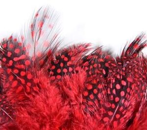 WHALESBACK STRUNG GUINEA FOWL