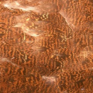 VENIARD Grouse Body Plumage