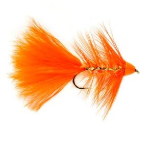 Golden Bullet Orange SIZE 10 (C2J)