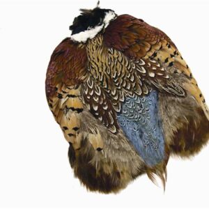 WAPSI RingNeck Pheasant Whole skin