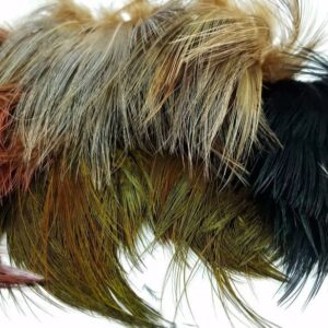 WAPSI Ring Neck Pheasant strung Rump Hackle