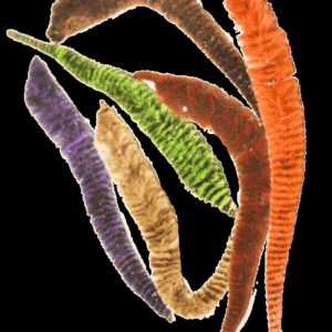 WHALESBACK ORIGINAL MAGNUM VARIEGATED DRAGON TAILS