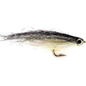 Whalesback Shiner SIZE 2 (C9D)