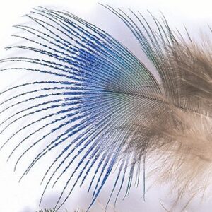 VENIARD Peacock Blue Neck