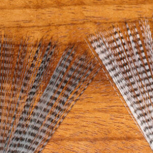 HARELINE BARRED MAYFLY TAILS