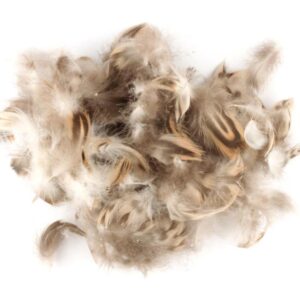 VENIARD Mallard Duck Hen Breast Natural