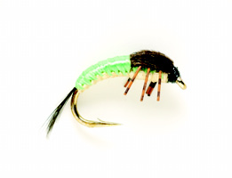 Polish woven Cream/Green