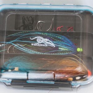 Whalesback Component box