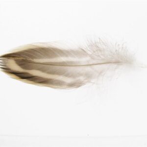 VENIARD Mallard Duck Hen Flank Natural