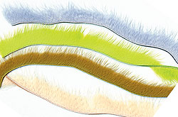 WAPSI MINK STRIPS