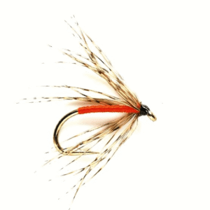 Flies