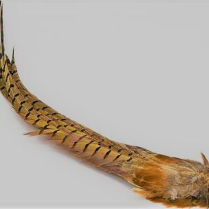 WAPSI Ringneck Pheasant Tail Clumps