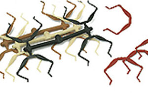 WAPSI TNT Hopper Legs