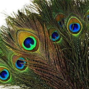 VENIARD Peacock Eye Tops