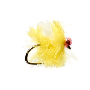 FIRE SPOT EGG SUNBURST 3.0MM RED SPOT SIZE 10 (A1H)