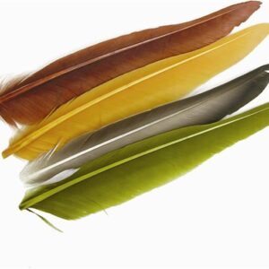 WAPSI Duck Quills 2 pair